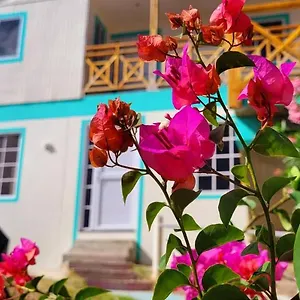  Bed and breakfast Colorful Garden House